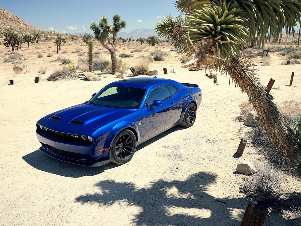 Dodge is waging a horsepower war against itself - and we love it! 