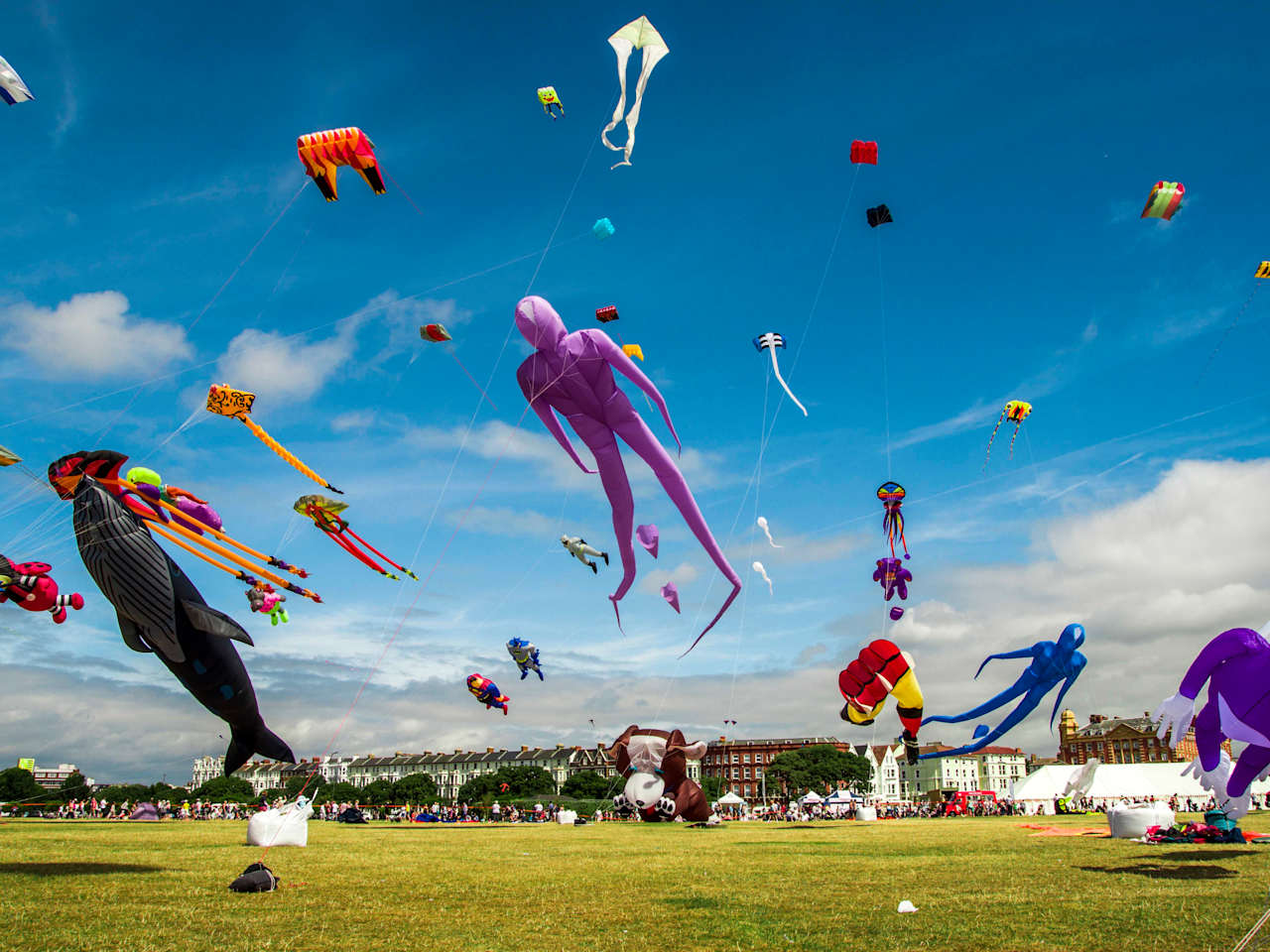 International Kite Festival