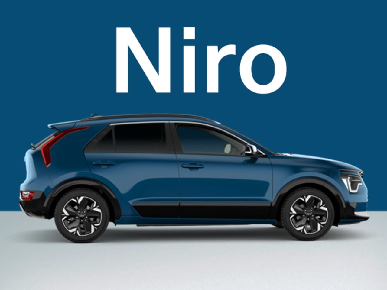 Niro Offers