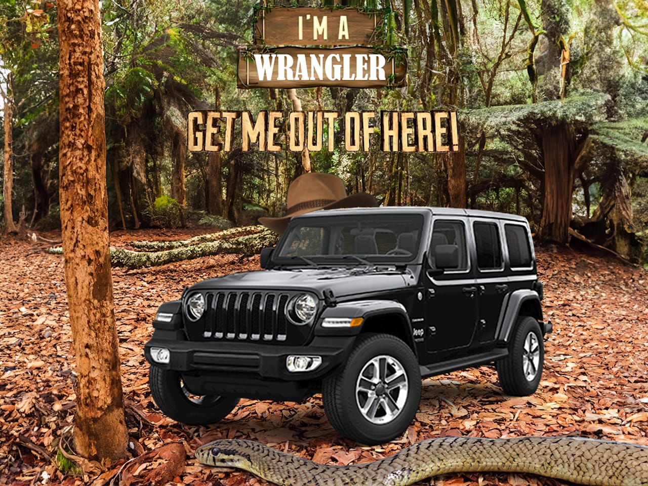 I'm a Wrangler get me out of here!