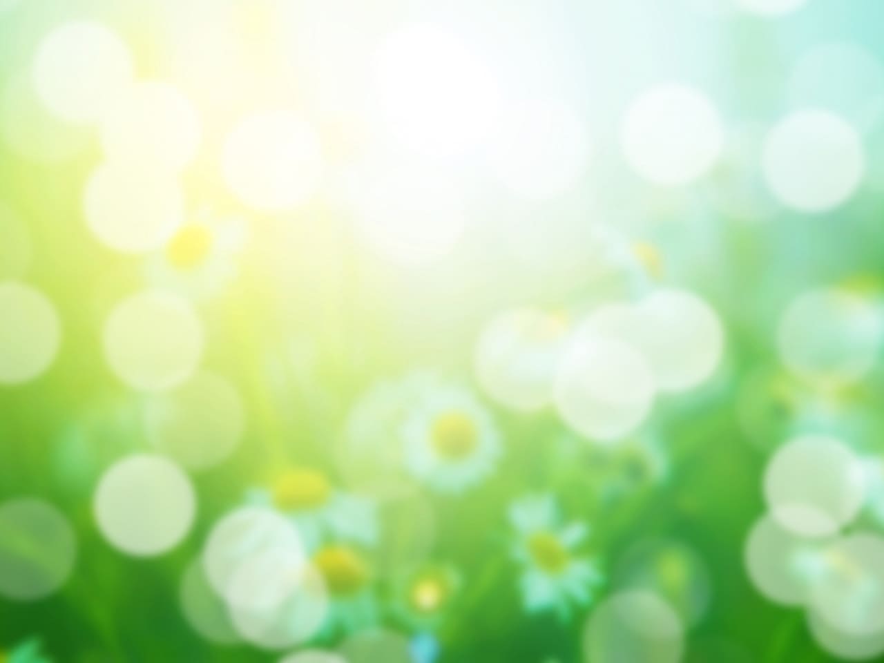 Early May Bank Holiday Opening Hours