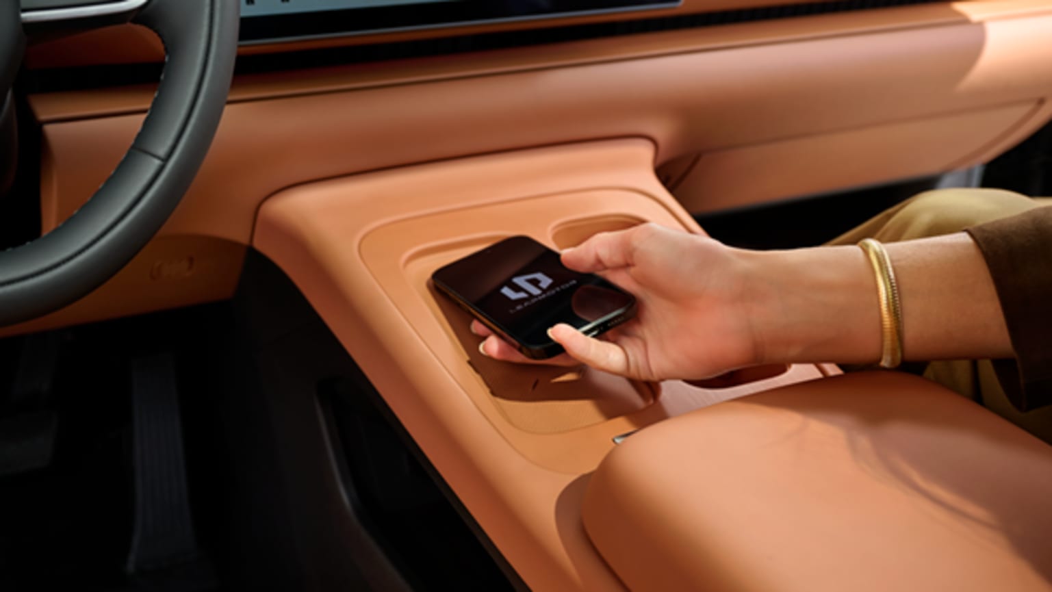 Leapmotor Connected Services
