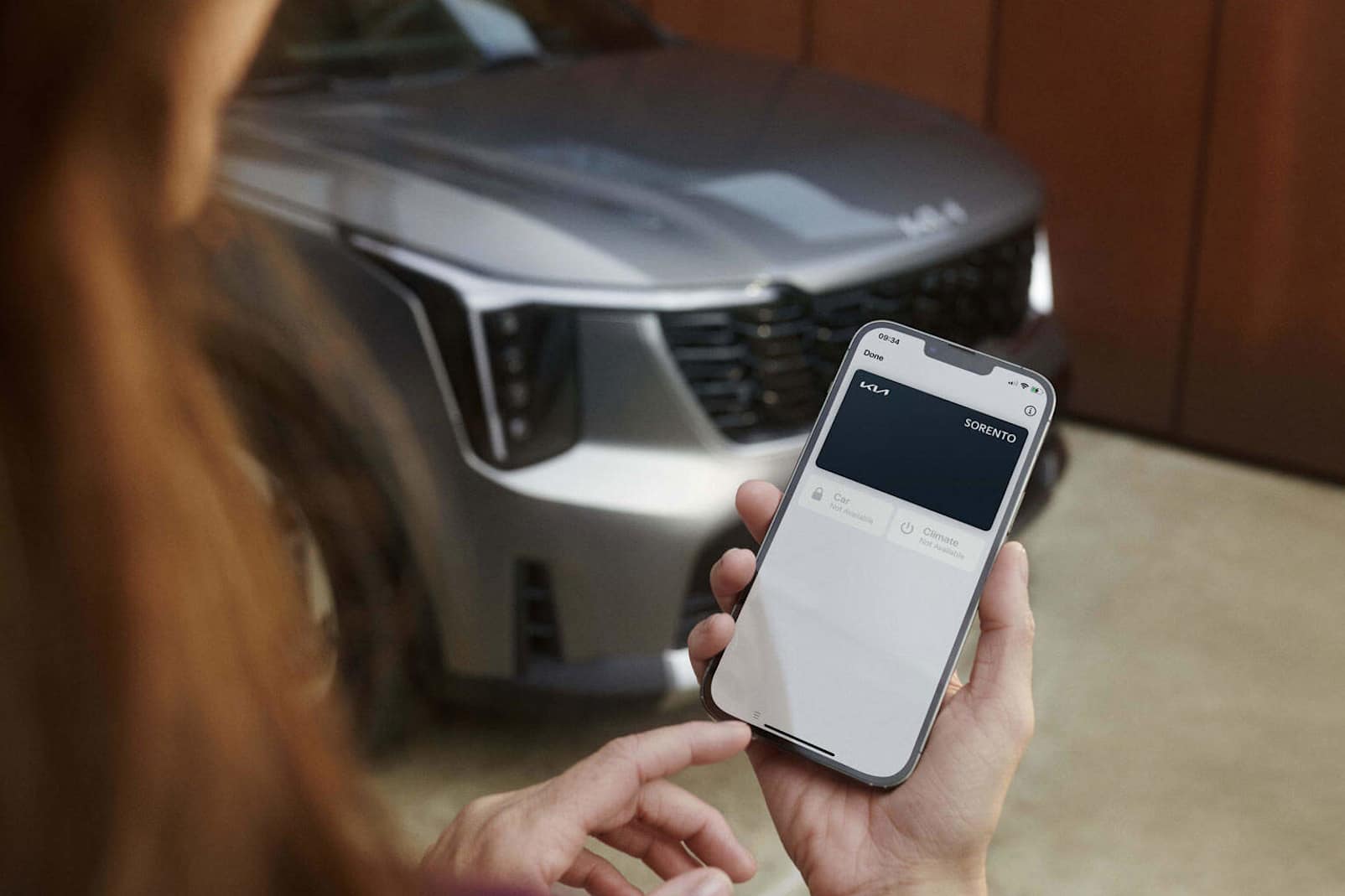 Sorento Technology