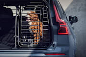 Volvo pet accessories outlet