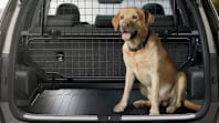 Kia Accessories - Pets