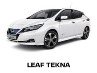 Leaf visia best sale