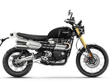 New triumph clearance scrambler 2019