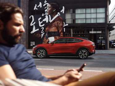 Mustang clearance nouvelle collection