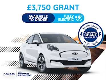 puma st insurance group