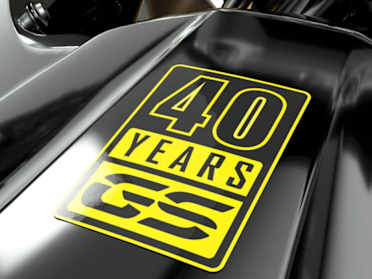 Gs 310 store 40 years