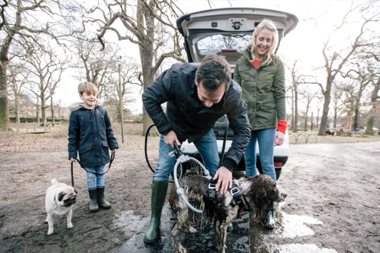 X trail for dogs top