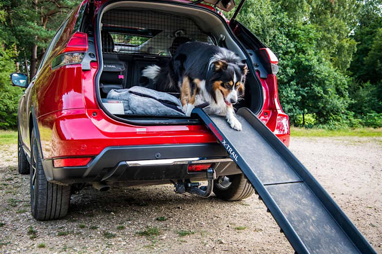 Nissan Paw Pack John Clark Nissan
