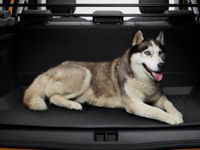 Dacia 2025 logan dogs