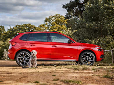 Safe and Hound SKODA Dog Safety Ingram SKODA Ayr