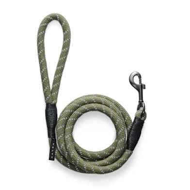 Volvo Pet Accessories Southampton Winchester Snows Volvo
