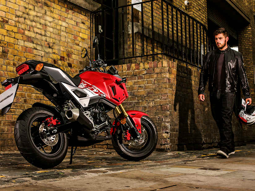 Msx125 Compact 125 With Attitude New Motorcycles Norton Way Motorcycles