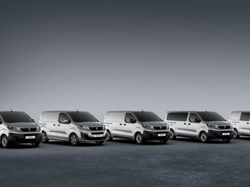 unique vans st neots