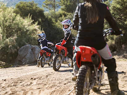 Honda crf110f hot sale dirt bike