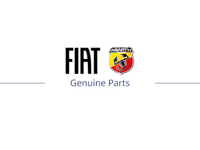 Fiat dismantlers shop