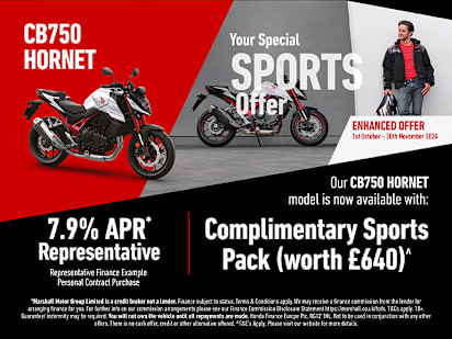 Honda hornet offers online