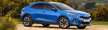Medium Car Rental