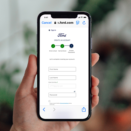 Fill in Your Details*