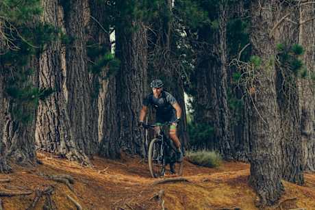 skoda mtb 29 full