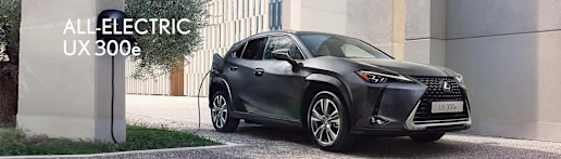 Lexus UX300e