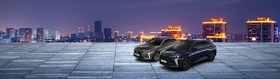 DS Business