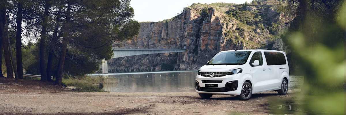 vivaro life for sale