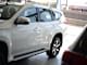 NamAuto Pajero Sport