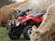 HONDA ATV/UTILITY